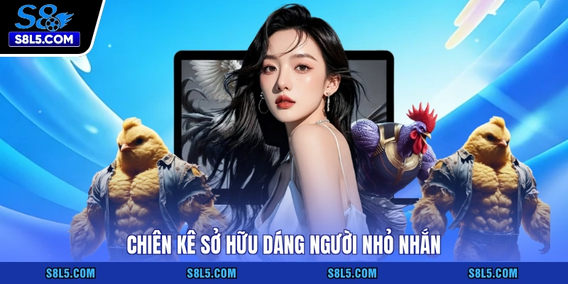Chiên kê sở hữu dáng người nhỏ nhắn
