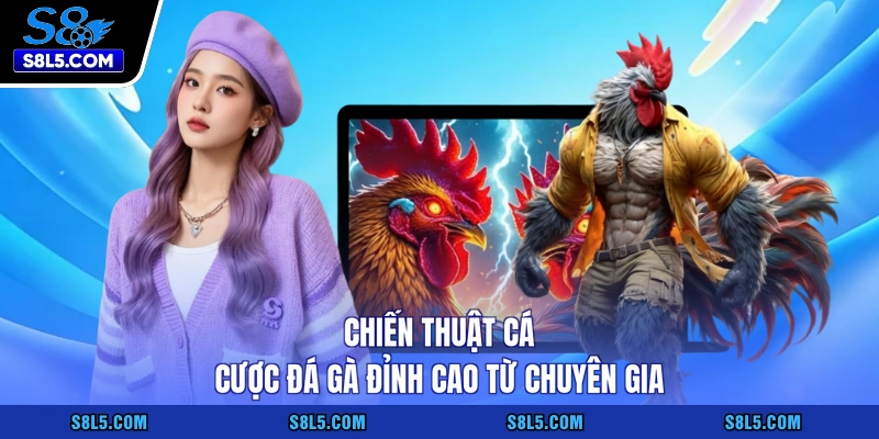 Chiến thuật cá cược đá gà đỉnh cao từ chuyên gia