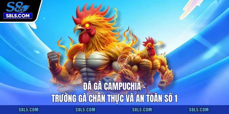 Đá gà Campuchia