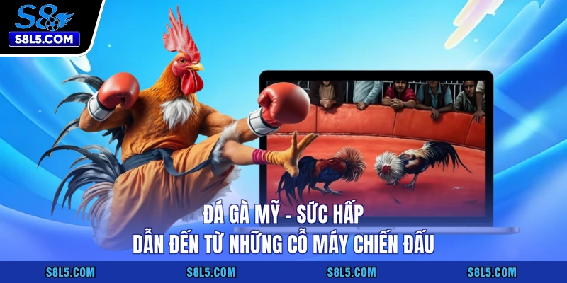 Đá gà Mỹ