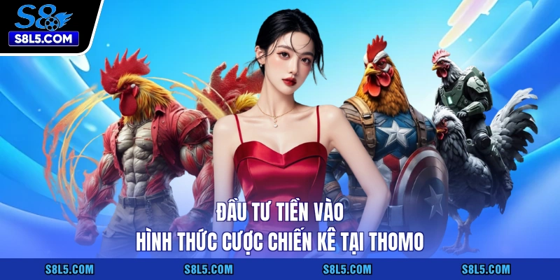 Đầu tư tiền vào hình thức cược chiến kê tại Thomo