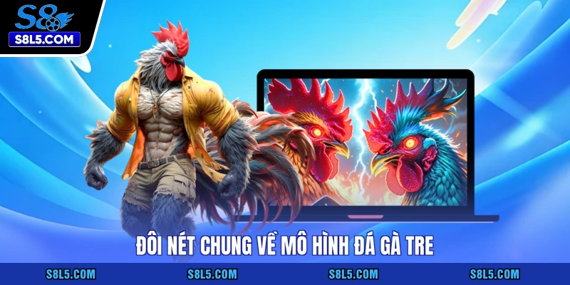 Đôi nét chung về mô hình đá gà tre