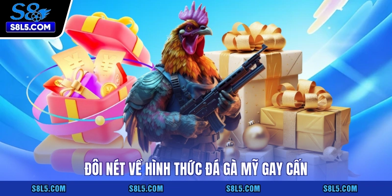 Đôi nét về hình thức đá gà Mỹ gay cấn