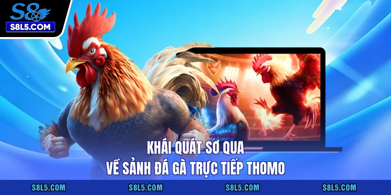 Khái quát sơ qua về sảnh đá gà trực tiếp thomo