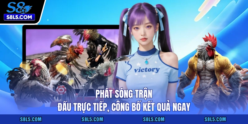 Phát sóng trận đấu trực tiếp, công bố kết quả ngay