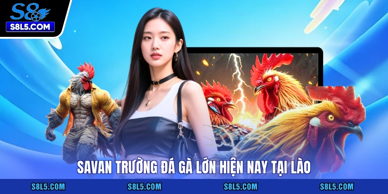 Savan trường đá gà lớn hiện nay tại Lào