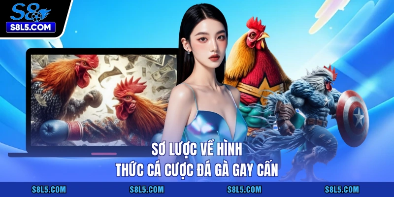 Sơ lược về hình thức cá cược đá gà gay cấn