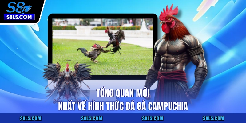 Tổng quan mới nhất về hình thức đá gà Campuchia
