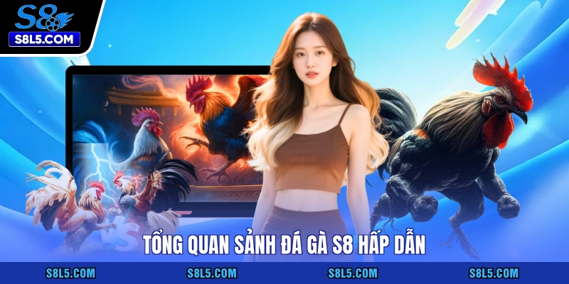 Tổng quan sảnh đá gà S8 hấp dẫn