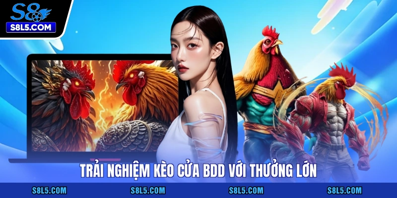 Trải nghiệm kèo cửa BDD với thưởng lớn
