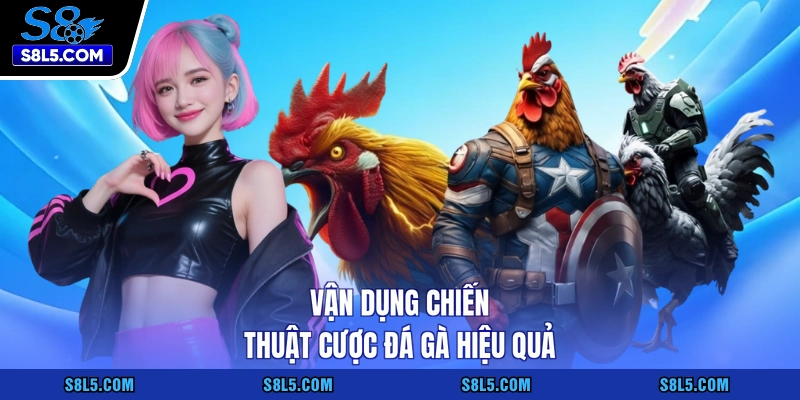 Vận dụng chiến thuật cược đá gà hiệu quả